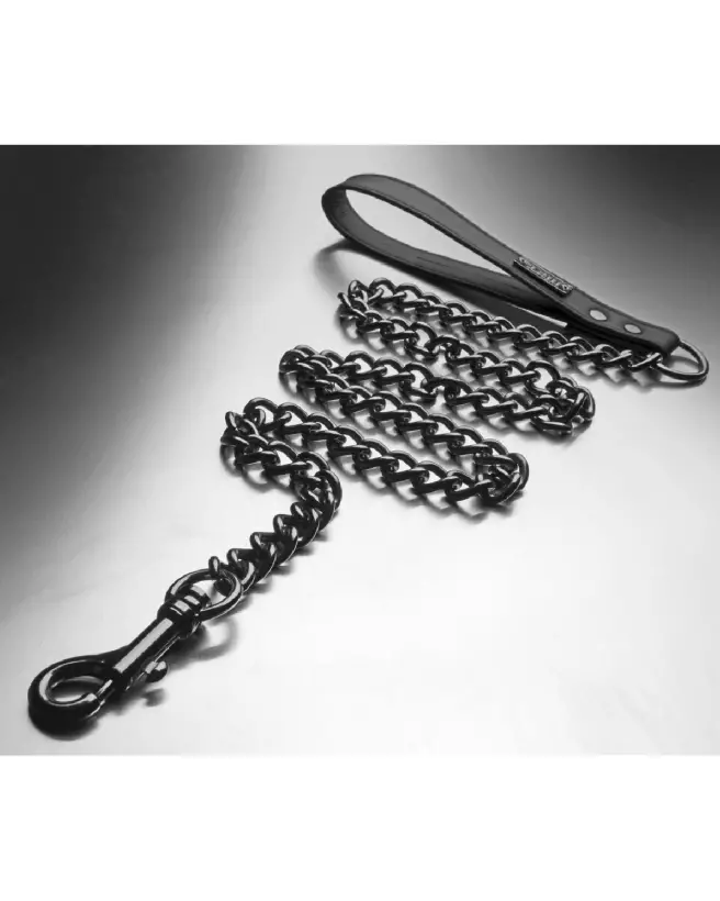 Collier Gun Metal Belt de XR Brands pour chiens, robuste et élégant-5