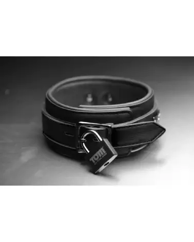Collier en néoprène avec verrou XR Brands pour chiens-4