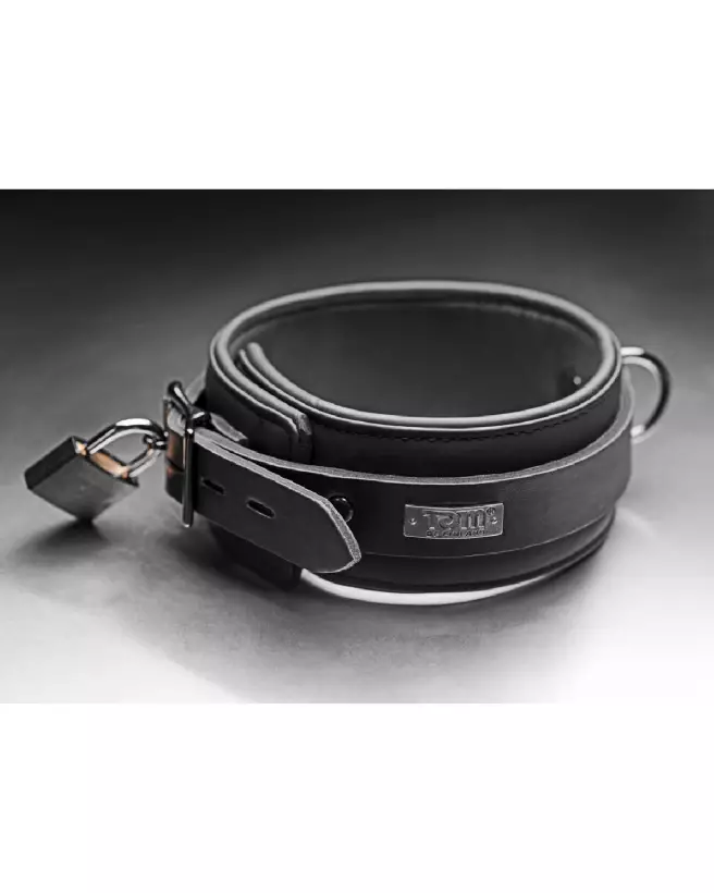 Collier en néoprène avec verrou XR Brands pour chiens-6