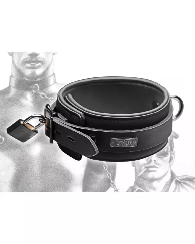 Collier en néoprène avec verrou XR Brands pour chiens-7