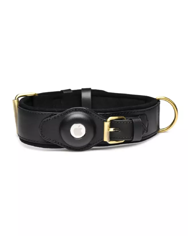 Image du collier GPS Tracer noir de XR Brands pour chiens-1