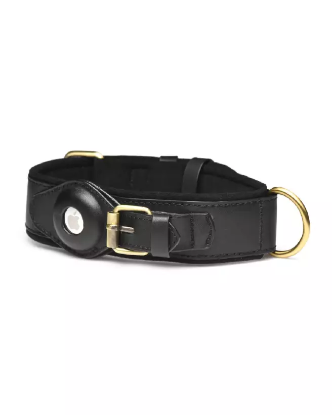 Image du collier GPS Tracer noir de XR Brands pour chiens-5