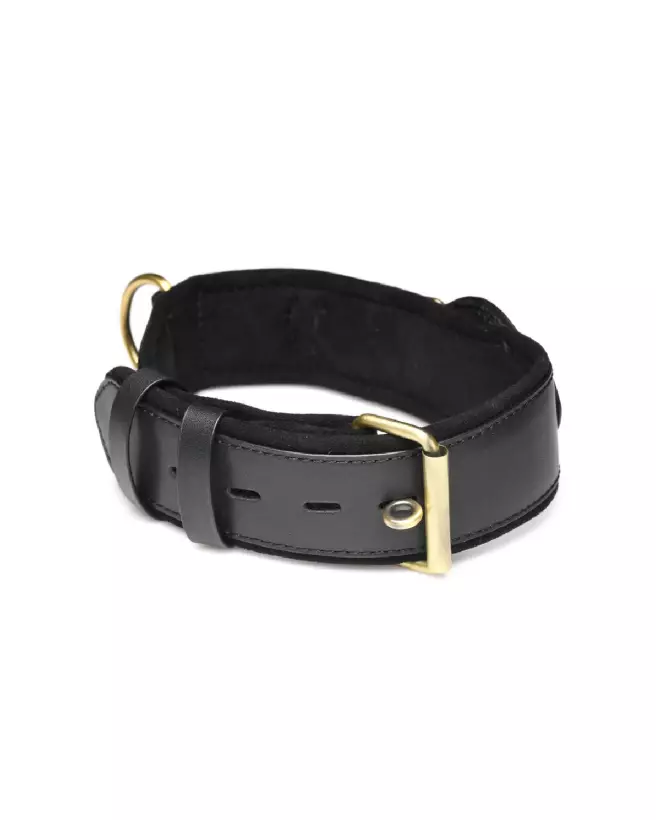 Image du collier GPS Tracer noir de XR Brands pour chiens-6