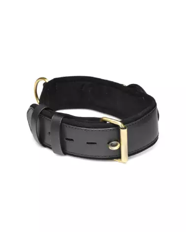 Image du collier GPS Tracer noir de XR Brands pour chiens-6
