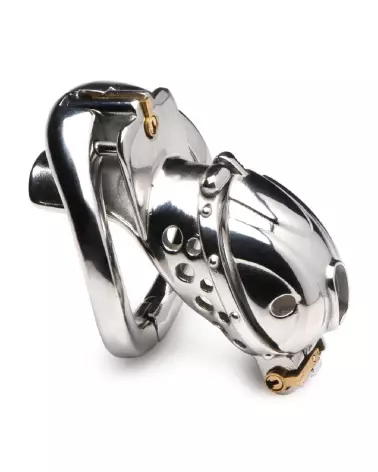 Image de la Cage de Chasteté Deluxe Verrouillable par XR Brands, dispositif sécurisé en acier-3