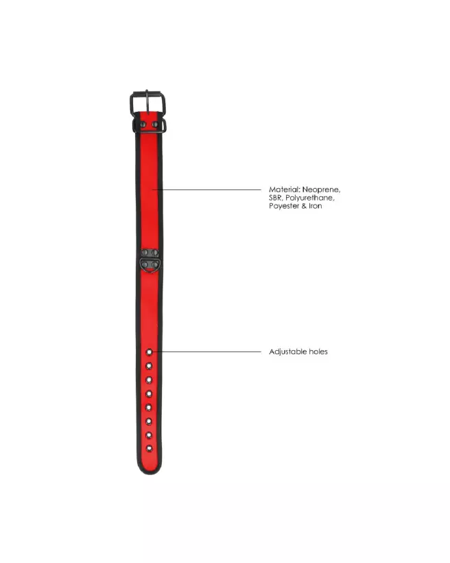 Collier en néoprène avec laisse pour chiens Ouch! by Shots, accessoire canin élégant et résistant-6
