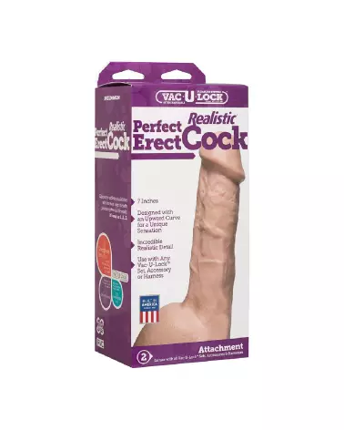 Image du Perfectly Erect Realistic Cock par Doc Johnson, sextoy réaliste et durable-2