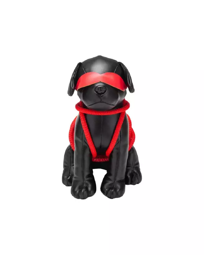 Image de la peluche Roped Up Rover par Prowler Red, jouet doux et durable pour enfants-3