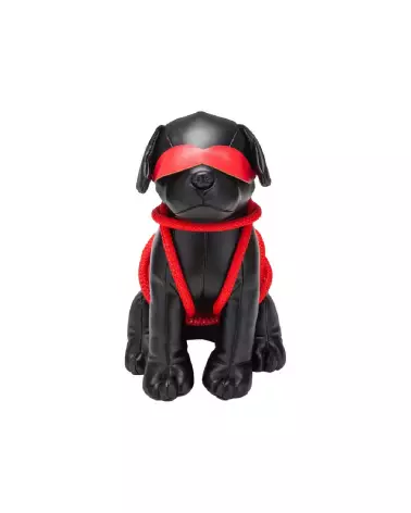Image de la peluche Roped Up Rover par Prowler Red, jouet doux et durable pour enfants-3