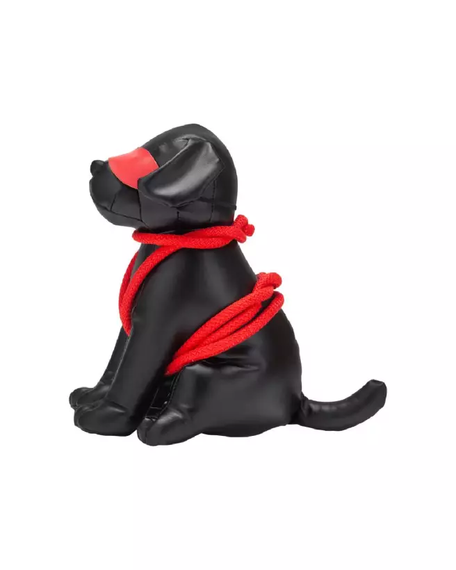 Image de la peluche Roped Up Rover par Prowler Red, jouet doux et durable pour enfants-4