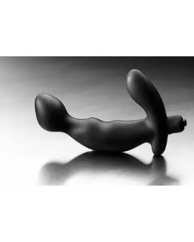 Vibrateur Prostate P-Spot de XR Brands pour stimulation masculine intensive-4