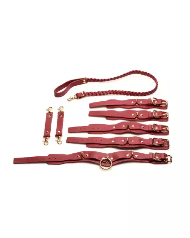 Set de contraintes Lover's Restraints Red par XR Brands, colliers et laisses pour jeux érotiques-4