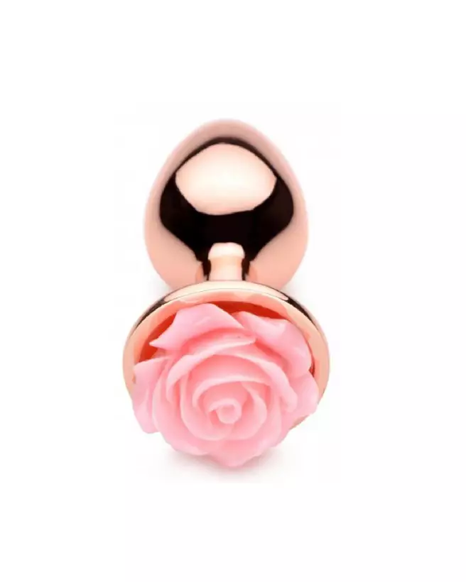 Image Butt Plug Small XR Brands - Bijoux Anal pour Débutants-3