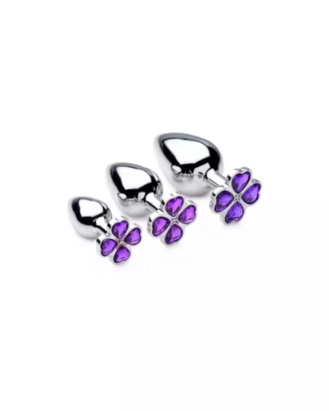 Set de Plugs Anal Violet Flower par XR Brands, Bijoux Anal avec Fleurs Violettes-1