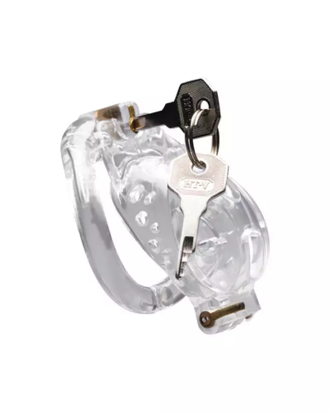 Double Lockdown cage de chasteté ajustable et verrouillable par XR Brands-1