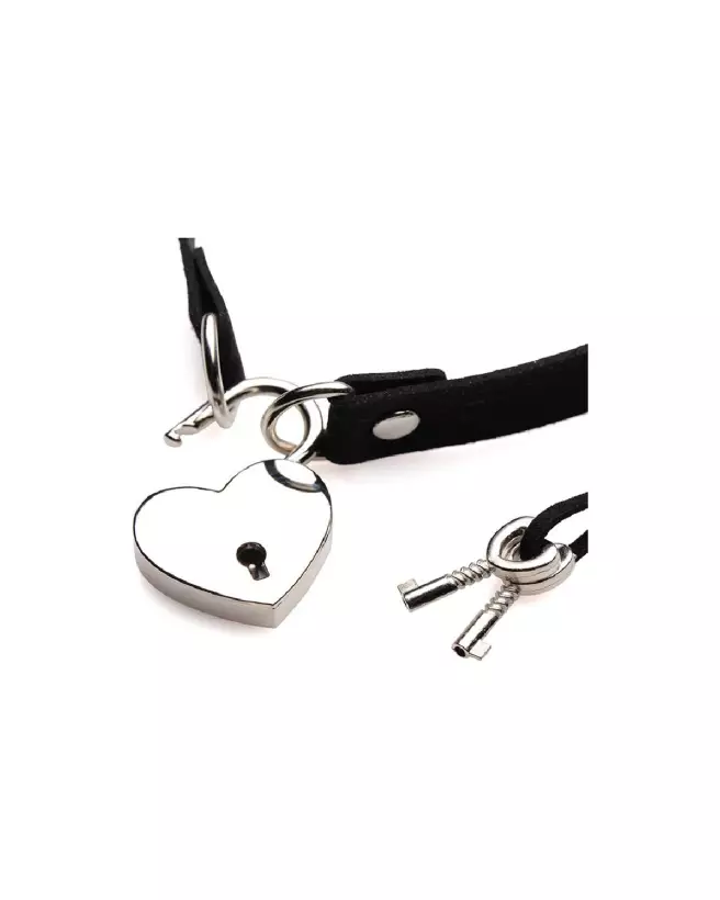 Photo du Collier Choker Lock-It de XR Brands avec cadenas en forme de cœur et clé-6