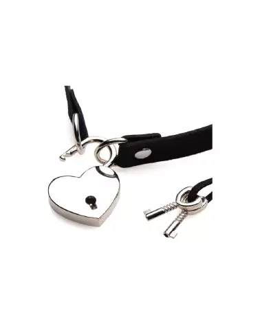 Photo du Collier Choker Lock-It de XR Brands avec cadenas en forme de cœur et clé-6