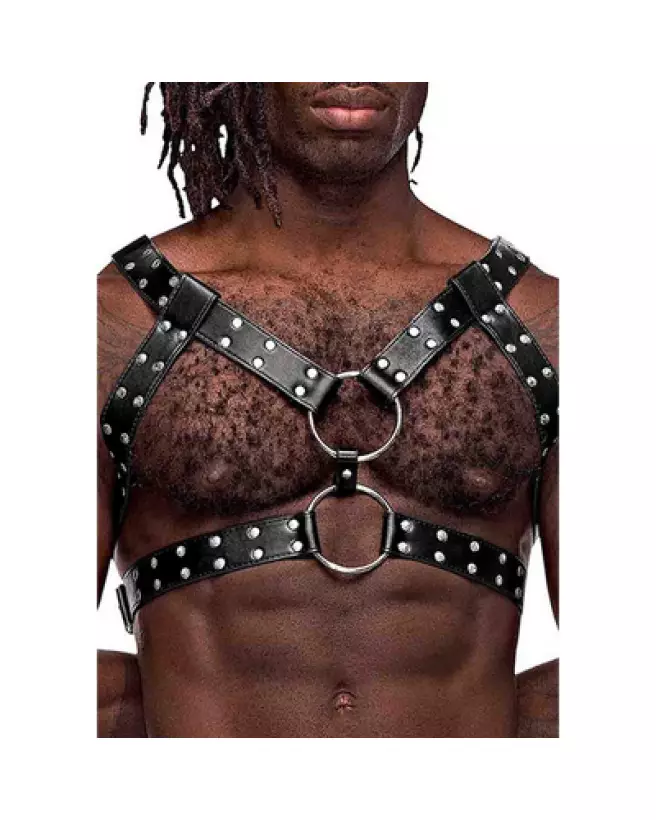 Image du harnais Gemini en similicuir noir taille unique pour homme par Male Power-1