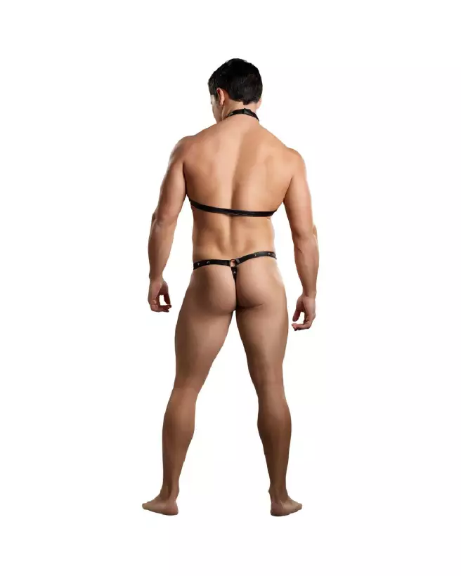 Male Power Gladiator Thong with Harness and Choker in Black L/XL-4