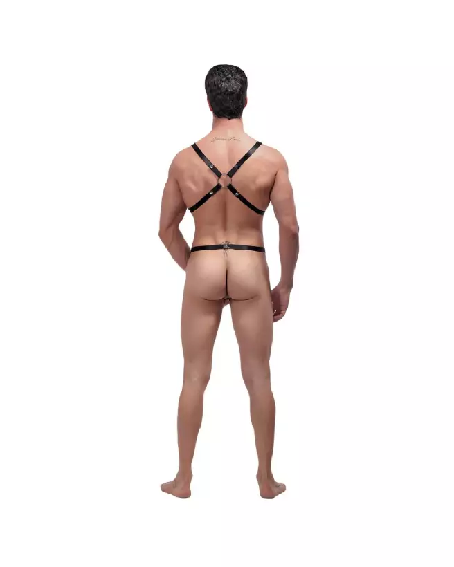 Image du Harnais Rip Off Set Noir Male Power - Jockstraps élégants et provocateurs-4