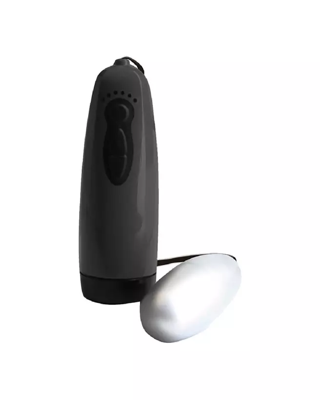 Photo du Virtual Sex Ultra Big Ass and Pussy Masturbator de Topco-3