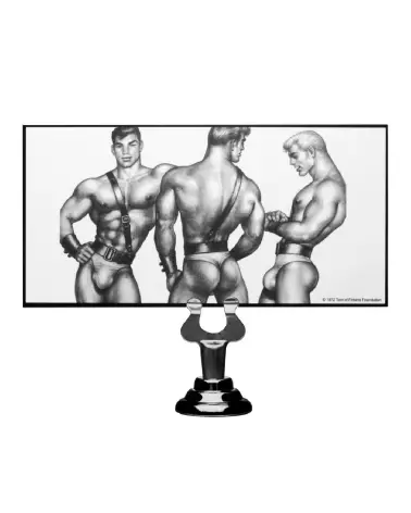 Image du Butt Plug XR Brands pour stimulation anale sécurisée et confortable-3