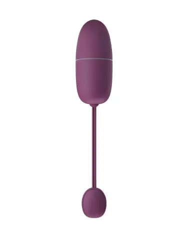 Image de l'œuf vibrant Pretty Love Nymph Violet avec télécommande-4