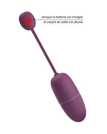 Image de l'œuf vibrant Pretty Love Nymph Violet avec télécommande-5