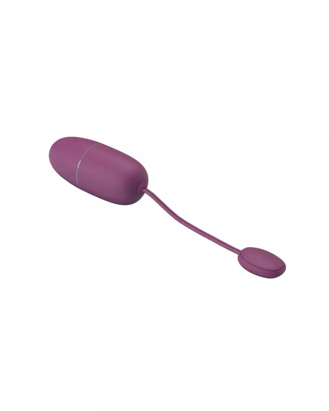 Image de l'œuf vibrant Pretty Love Nymph Violet avec télécommande-6