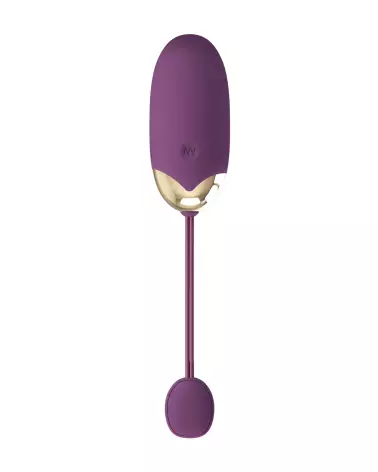 Pretty Love Abner œuf vibrant télécommandé violet-4