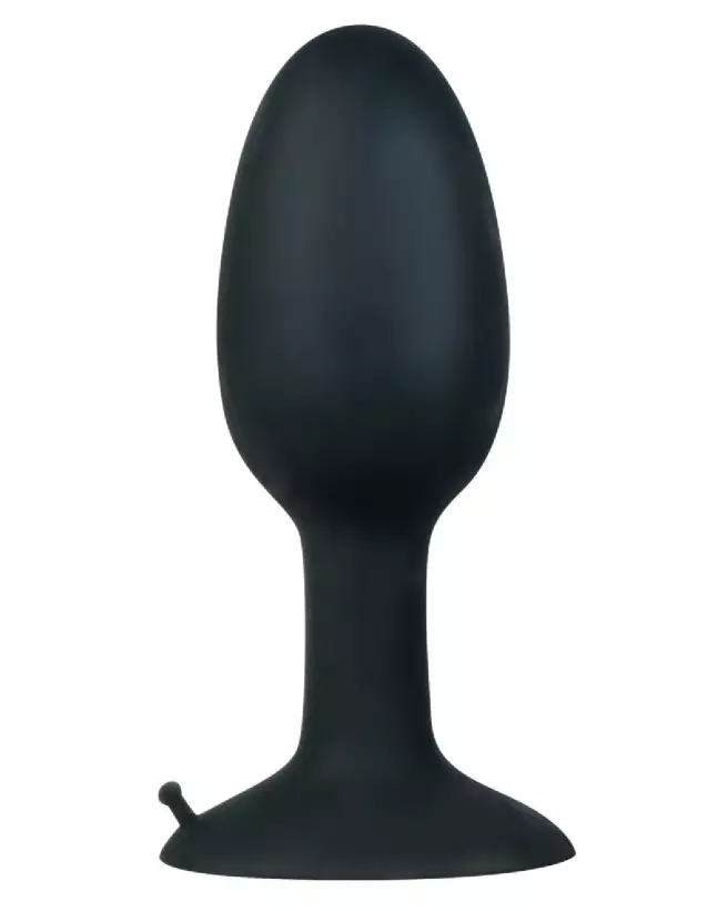 Image du plug anal Backdoor Friend Large pour confort et plaisir sécurisé-2