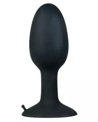 Image du plug anal Backdoor Friend Large pour confort et plaisir sécurisé-2