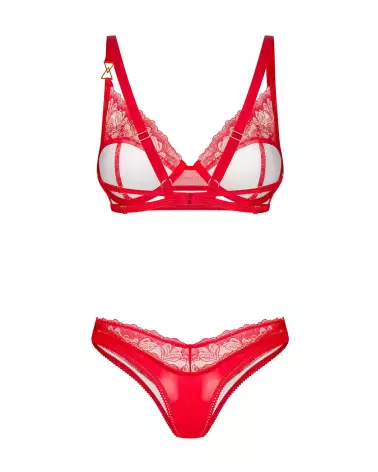 Photo de l'ensemble Aliosa 2 pièces rouge par Obsessive, lingerie élégante et séduisante-6