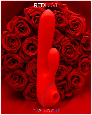 Rabbit Red Love Clara Morgane Sextoy 2 en 1 en Silicone Médical pour Double Stimulation Clitoridienne et Vaginale - image 14