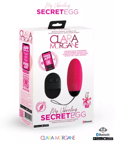 My Vibrating Secret Egg + App - image 30