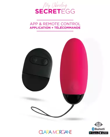 My Vibrating Secret Egg + App - image 31