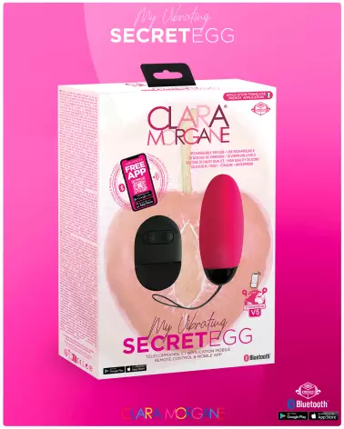 My Vibrating Secret Egg + App - image 36