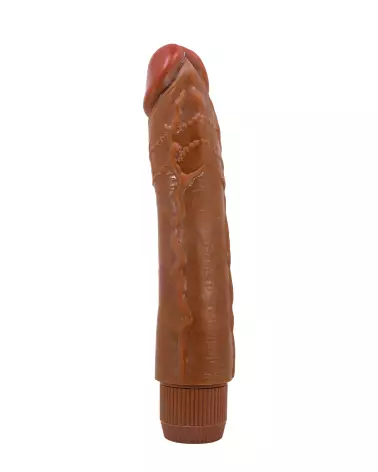 Gode réaliste vibrant 24cm BAILE en silicone-3