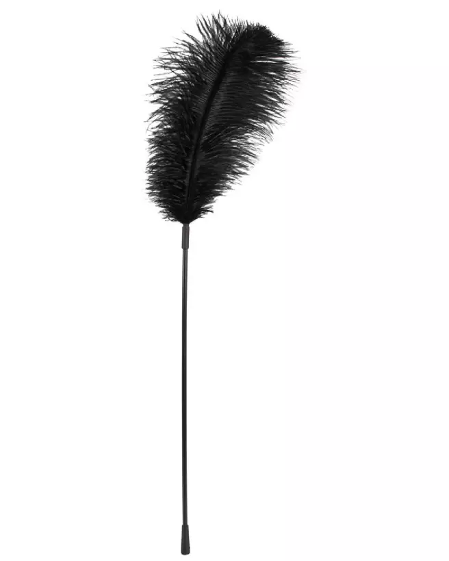 Plumeau coquin Black Feather de Bad Kitty pour jeux sensuels-1