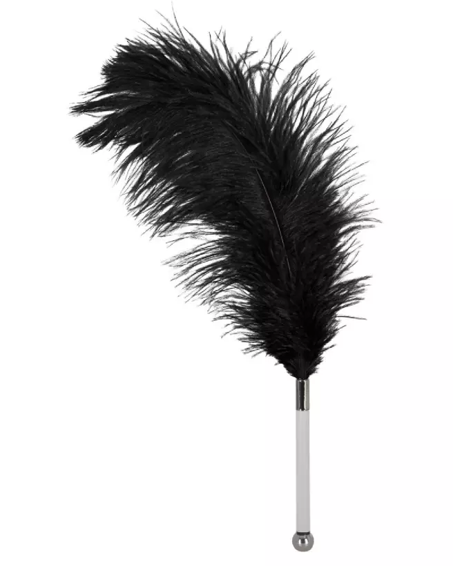 Plumeau Feather Black Bad Kitty en acrylique pour jeux coquins-1