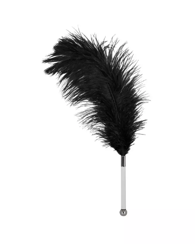 Plumeau Feather Black Bad Kitty en acrylique pour jeux coquins-2
