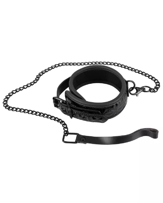 Collier et laisse Bad Kitty pour chien, accessoire durable et confortable-2