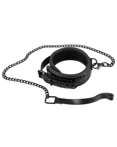 Collier et laisse Bad Kitty pour chien, accessoire durable et confortable-2