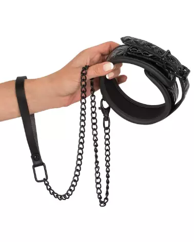 Collier et laisse Bad Kitty pour chien, accessoire durable et confortable-3