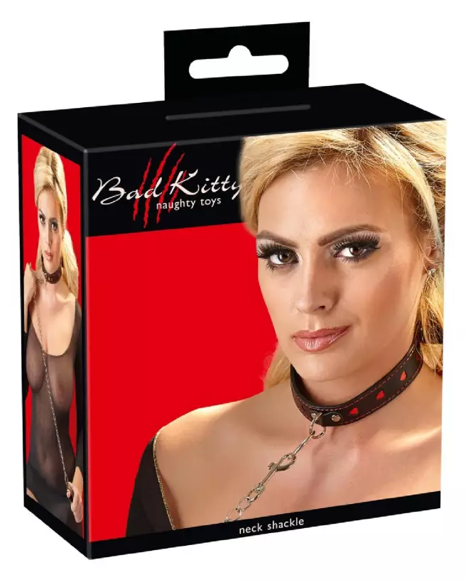 Image du Collar and Leash Bad Kitty pour chiens, design élégant et durable-1
