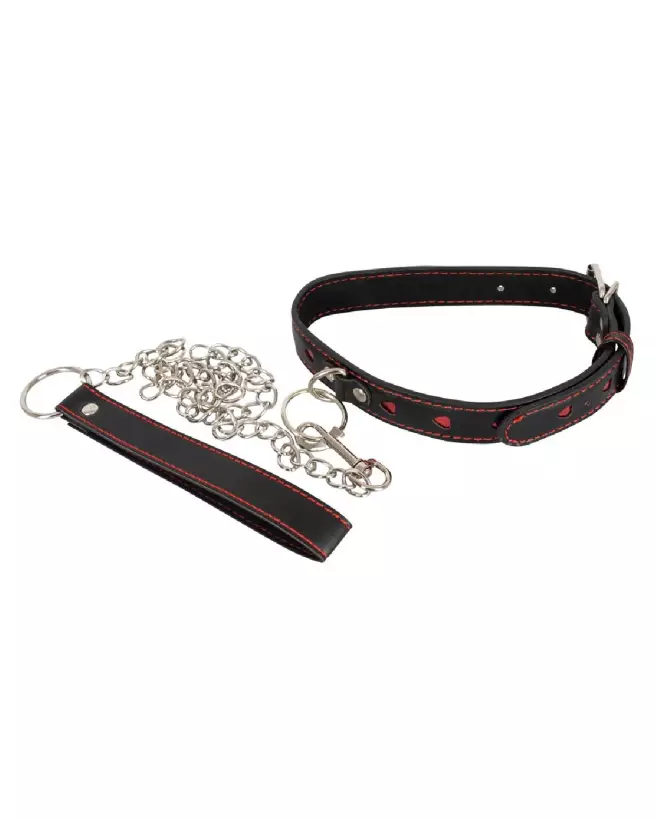 Image du Collar and Leash Bad Kitty pour chiens, design élégant et durable-2