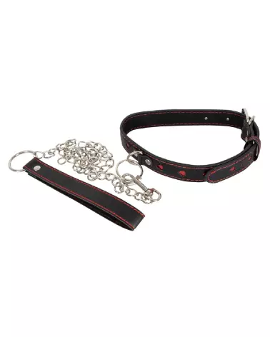Image du Collar and Leash Bad Kitty pour chiens, design élégant et durable-2