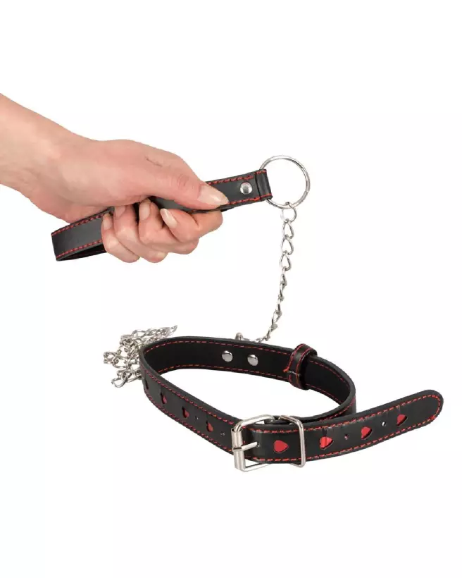 Image du Collar and Leash Bad Kitty pour chiens, design élégant et durable-3
