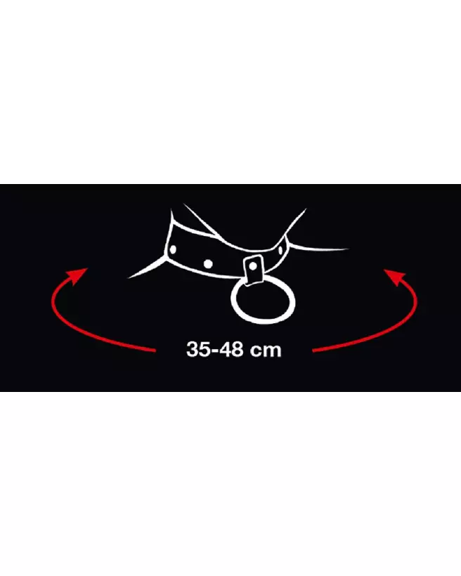 Image du Collar and Leash Bad Kitty pour chiens, design élégant et durable-6