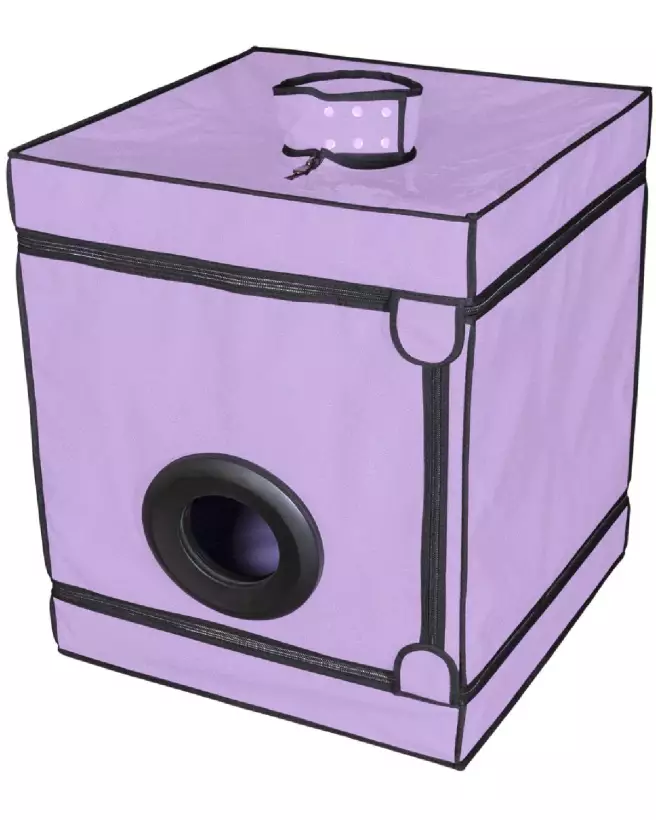 Image du meuble Bukkake Purple de Secret Dome, design moderne et élégant-3